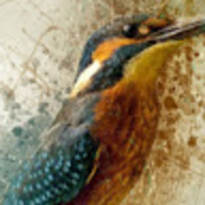 Meet your Posher, Binh